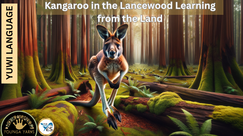 Kangaroo in the Lancewood